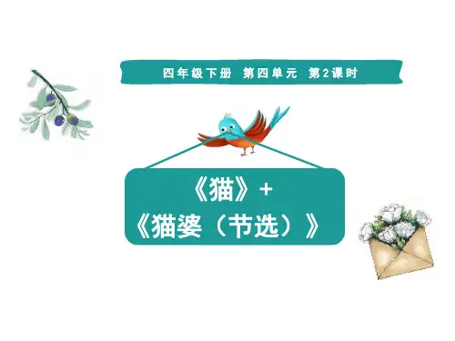 部编版语文四年级下册13猫课件(共21张PPT)