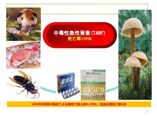 急性中毒的血液净化治疗ppt课件