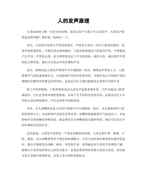 人的发声原理
