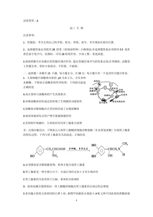 山东省潍坊市2021届高三上学期期末统考生物试题 Word版含答案