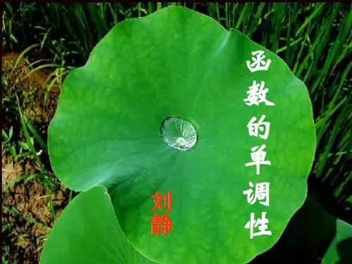函数的单调性说课课件