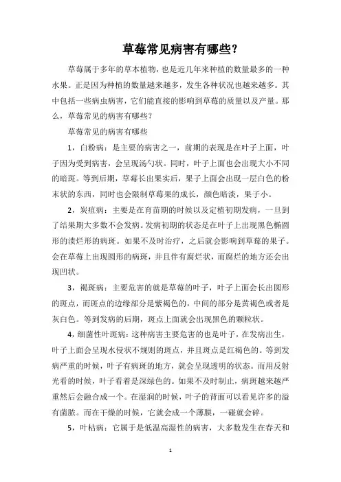 草莓常见病害有哪些？