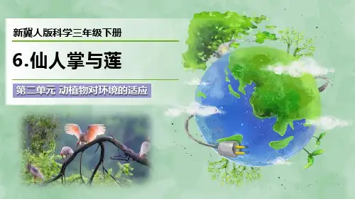 新冀人版科学三年级下册第二单元 动植物对环境的适应《仙人掌与莲》优质课件