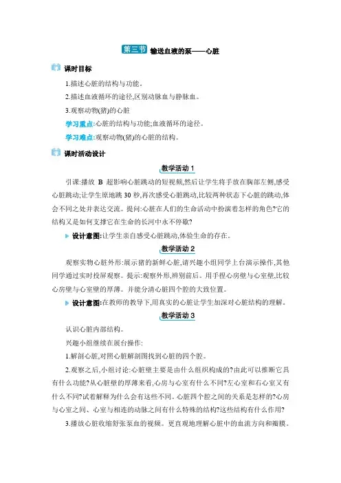 七年级下册生物【教案】04  4.3输送血液的泵——心脏