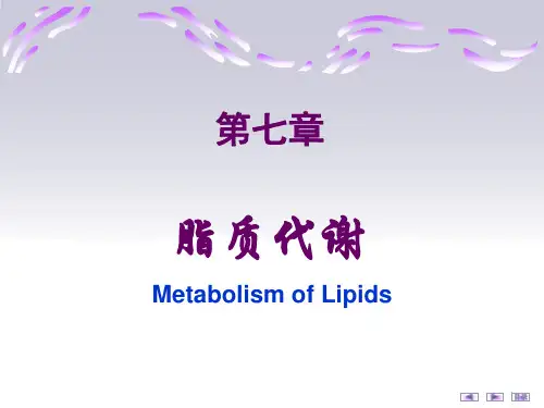 生物化学脂质代谢