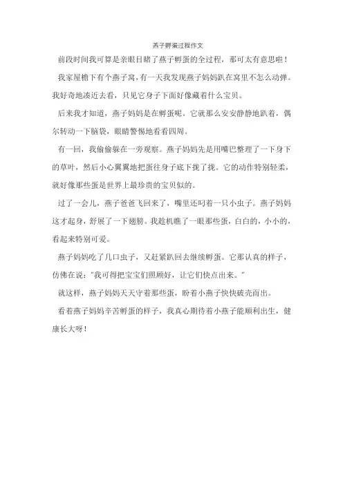 燕子孵蛋过程作文