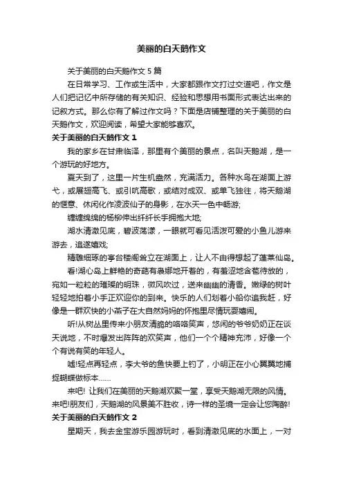 美丽的白天鹅作文