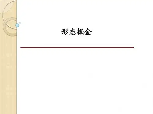 形态掘金