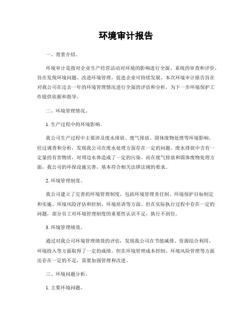环境审计报告