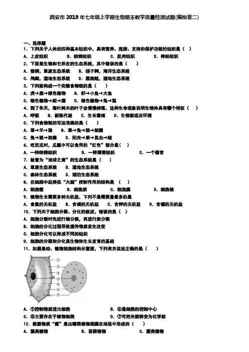 西安市2019年七年级上学期生物期末教学质量检测试题(模拟卷二)