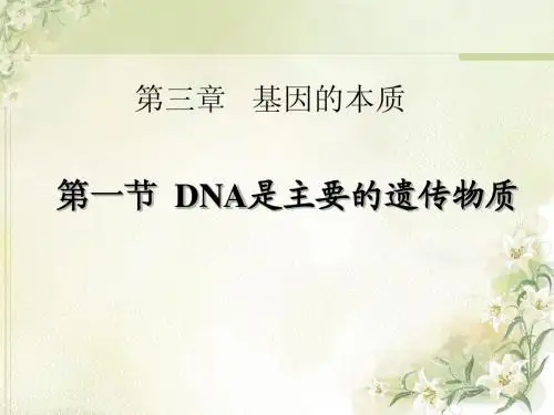 生物：3.1《DNA是主要的遗传物质》课件(新人教版必修2)