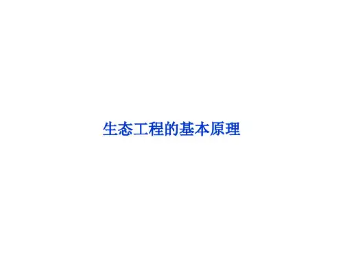 生态工程的基本原理   课件