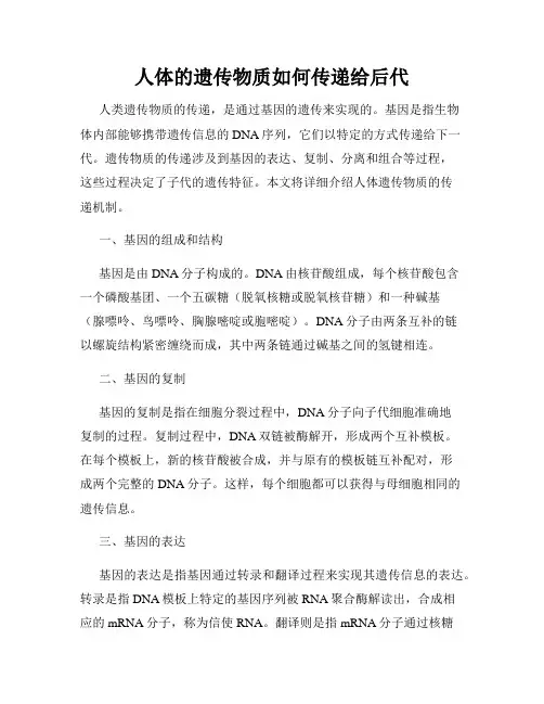 人体的遗传物质如何传递给后代