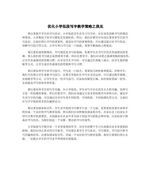 优化小学低段写字教学策略之我见 2
