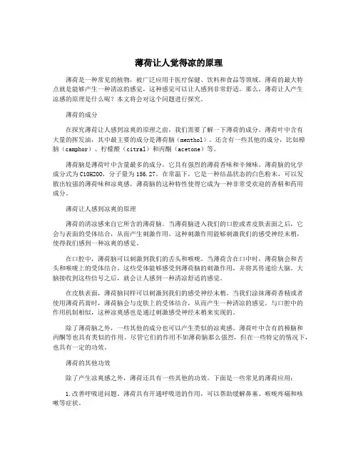 薄荷让人觉得凉的原理