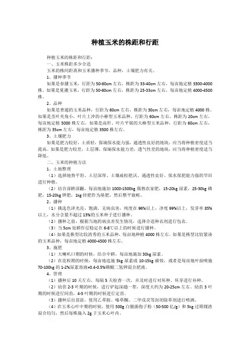 种植玉米的株距和行距