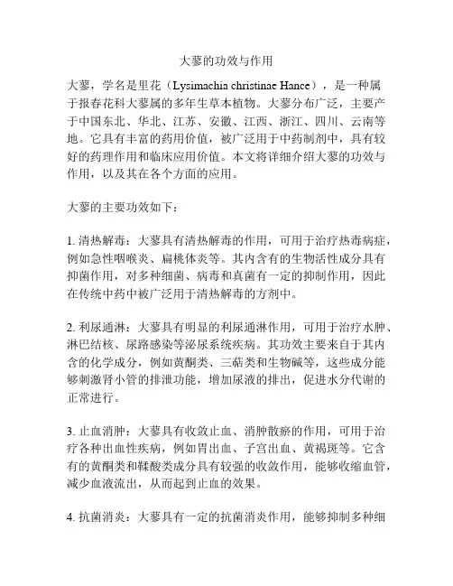 大蓼的功效与作用