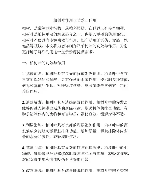 柏树叶作用与功效与作用