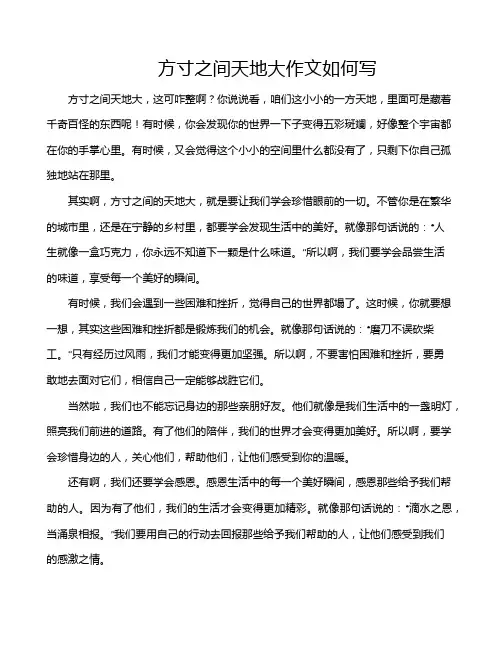 方寸之间天地大作文如何写