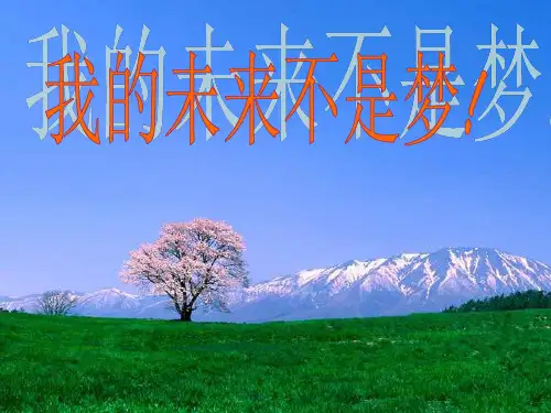 我的未来不是梦.PPT课件