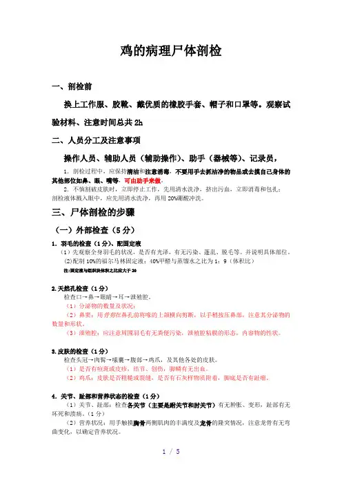 鸡的尸体病理剖检
