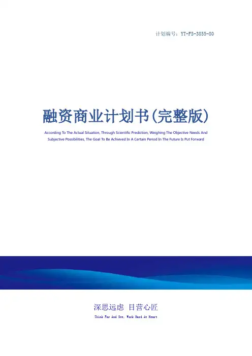 融资商业计划书(完整版)