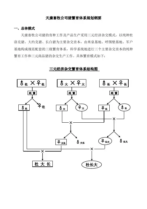 猪繁育体系规划
