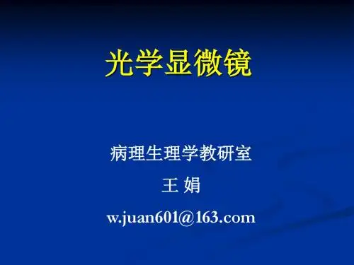 光学显微镜