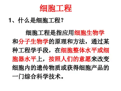 人教版高中生物选修三专题2细胞工程  2.1.1植物细胞工程的基本技术(共40张PPT)PPT幻灯片