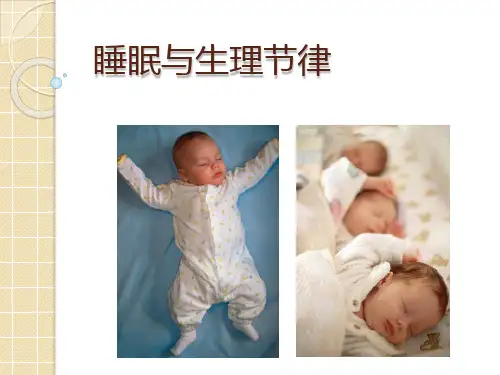 睡眠与生理节律