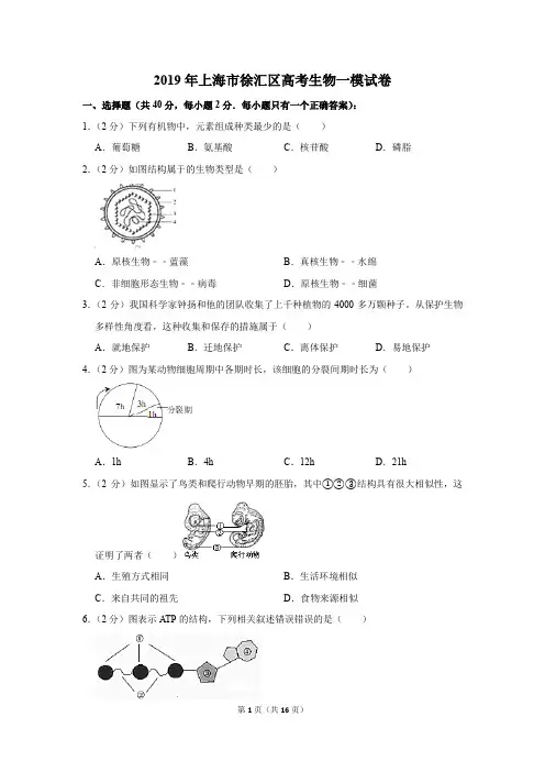 2019年上海市徐汇区高考生物一模试卷(解析版)