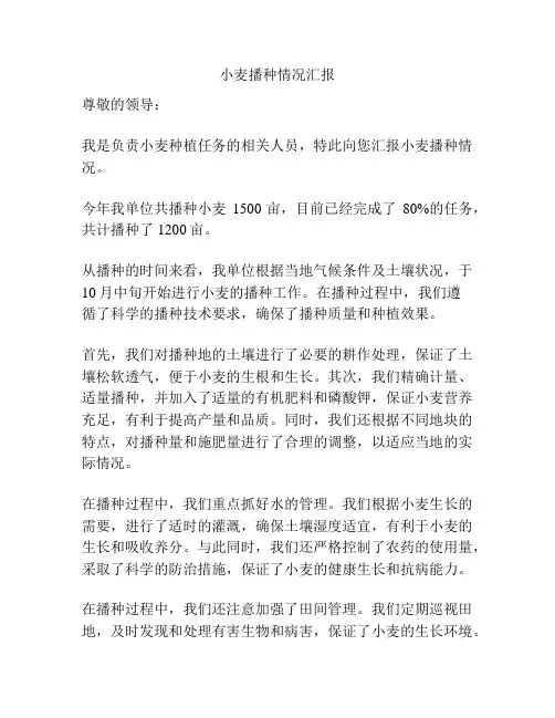 小麦播种情况汇报