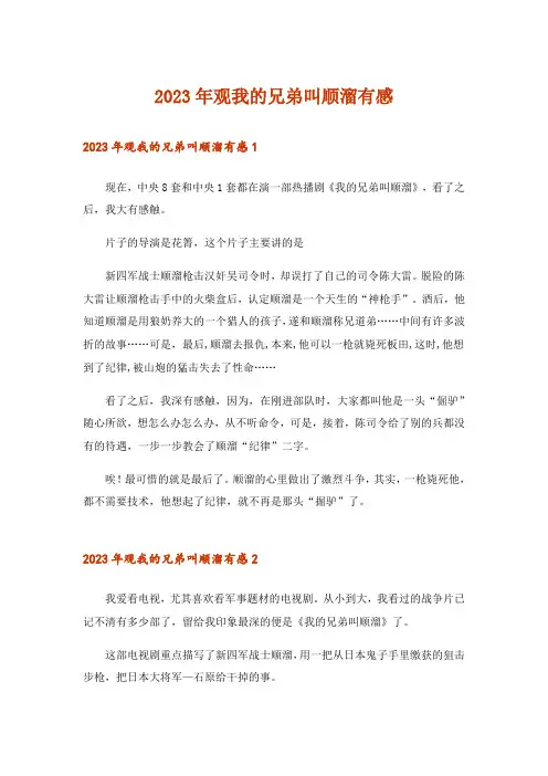 2023年观我的兄弟叫顺溜有感
