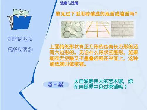 奇妙的图形密铺课件