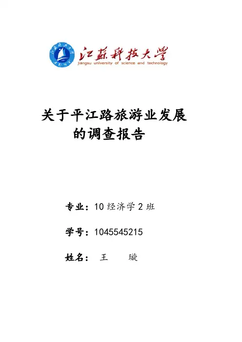 关于平江路商业化发展的调查报告