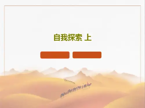 自我探索 上共43页PPT