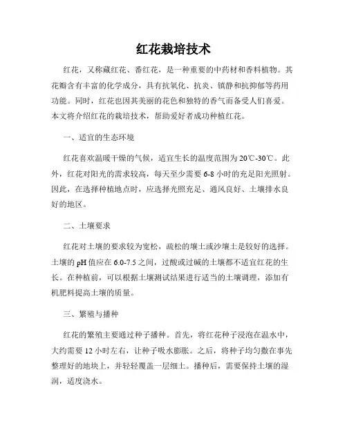 红花栽培技术