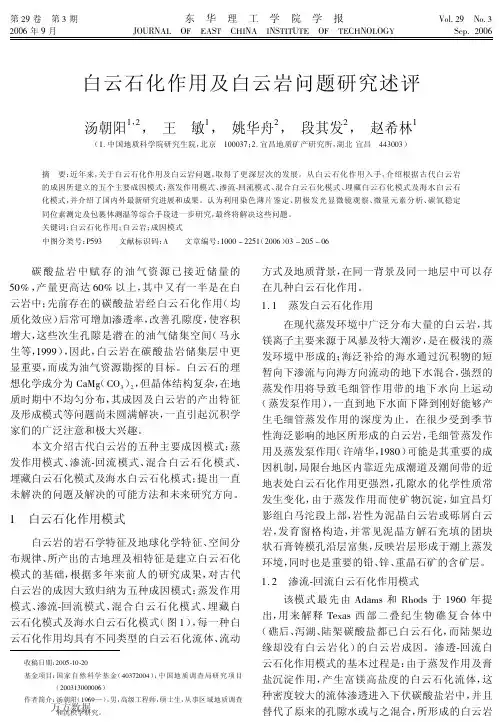 白云石化作用及白云岩问题研究述评