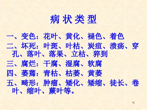 植物病害的症状观察参考PPT