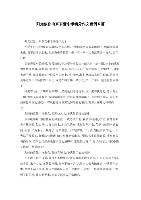 阳光似你山东东营中考满分作文范例5篇