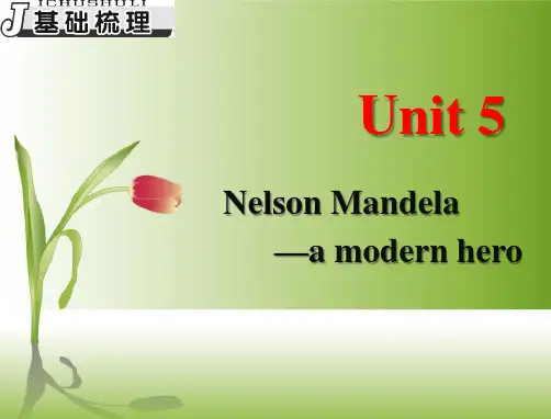 高考英语一轮复习：必修一-Unit5-Nelson-Mandela—a-Modern-Hero
