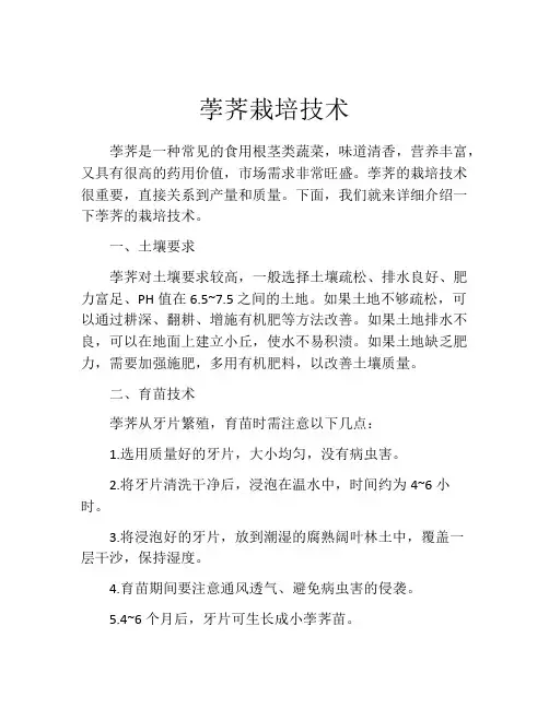 荸荠栽培技术 2