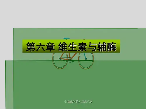 生物化学第六章维生素