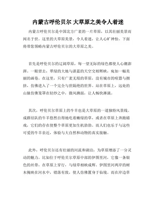 内蒙古呼伦贝尔 大草原之美令人着迷