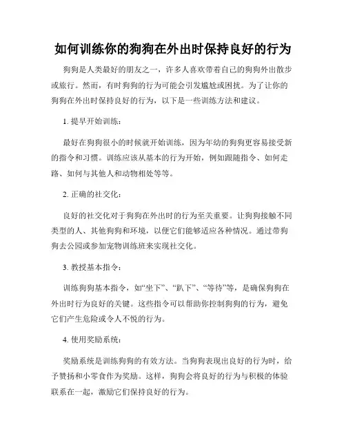 如何训练你的狗狗在外出时保持良好的行为