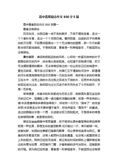 高中青春励志作文800字5篇