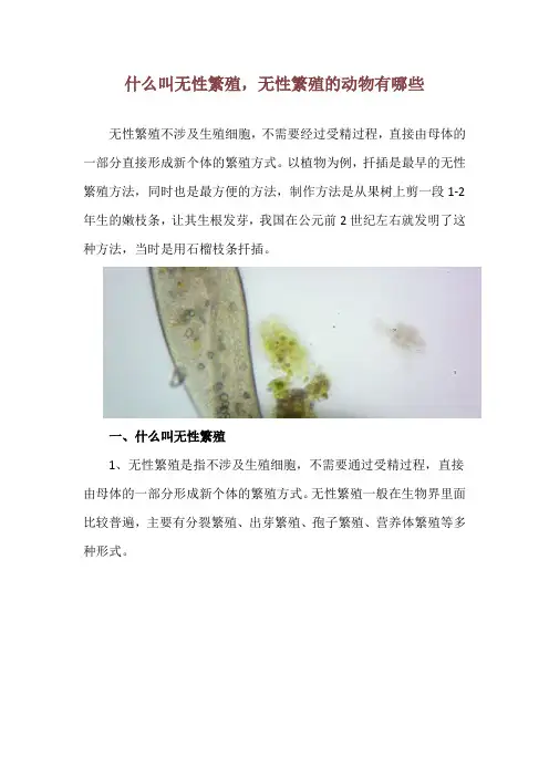 什么叫无性繁殖,无性繁殖的动物有哪些