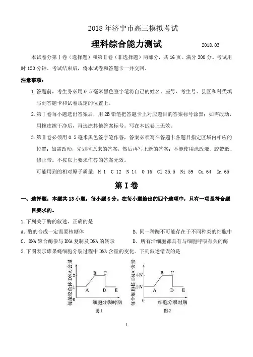 山东省济宁市2018届高三第一次模拟考试理科综合试题(WORD版)