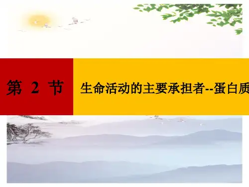 生物必修一第二章第二节---生命活动的主要承担者——蛋白质课件(共33张PPT)[优秀课件][优秀课件]