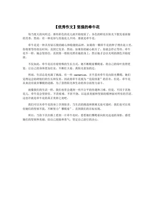 【优秀作文】坚强的牵牛花